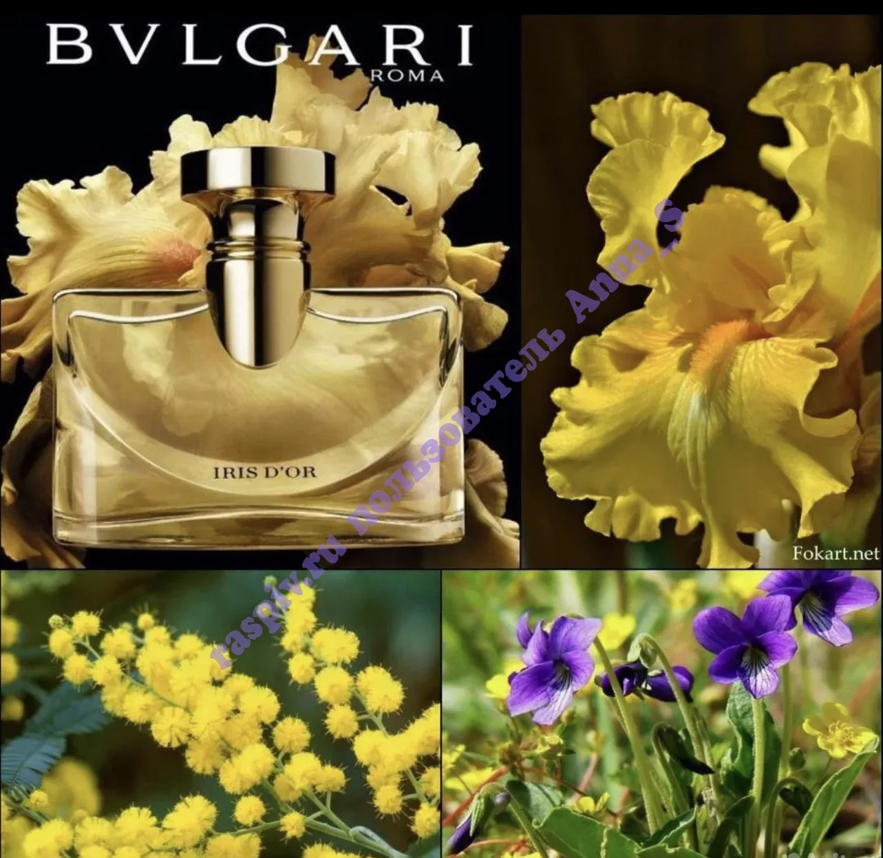 Bvlgari iris shop