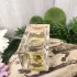 Dolce&Gabbana Velvet Infusion