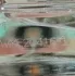 Escentric Molecules Cologne One pic-69479