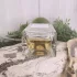 Essential parfums Fig infusion by Nathalie Lorson