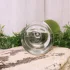 Zarkoperfume e`L