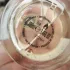 Zarkoperfume MOLeCULE 234•38