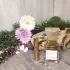 Lesquendieu Le Parfum
