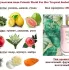 Oriflame Friends World For Her Tropical Sorbet pic-61368