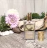 Parfums de Nicolai Cap Neroli