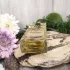 Parfums de Nicolai Caravanserail Intense